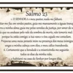 Revestimento Salmo 23 - D'van Pisos